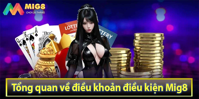 Tổng quan về điều khoản điều kiện Mig8