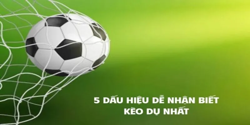 5 dấu hiệu dễ nhận biết kèo dụ nhất